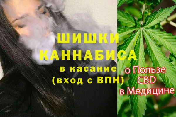 дживик Покров