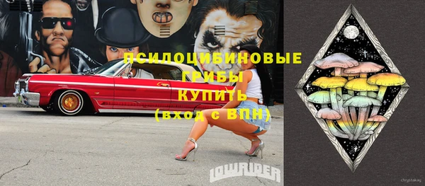 шишки Пролетарск