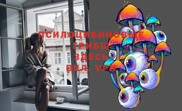 шишки Пролетарск