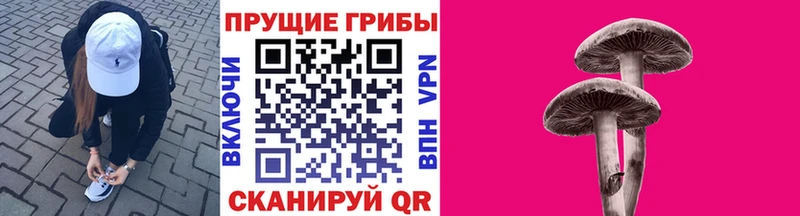 блэк спрут как войти  купить наркотик  Соликамск  Галлюциногенные грибы мицелий 