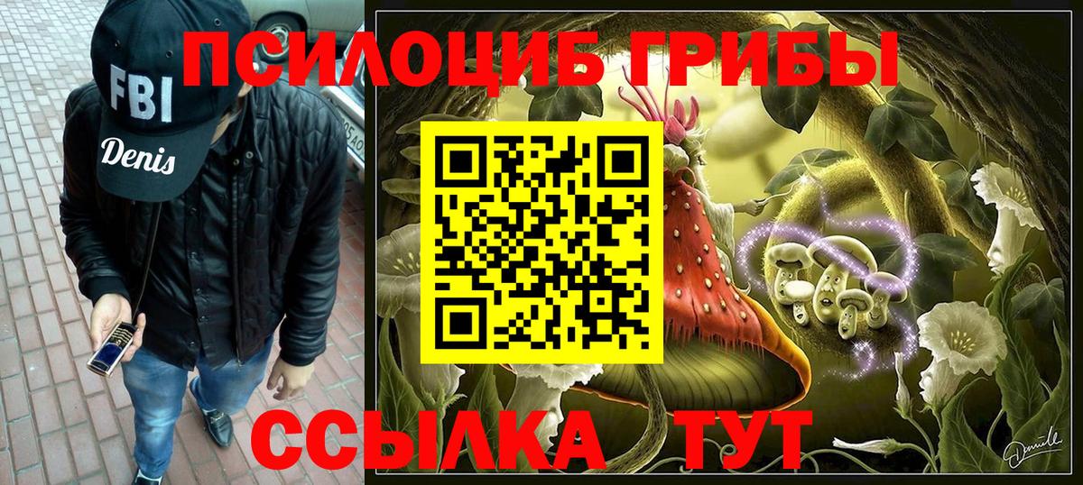 Псилоцибиновые грибы мицелий Соликамск