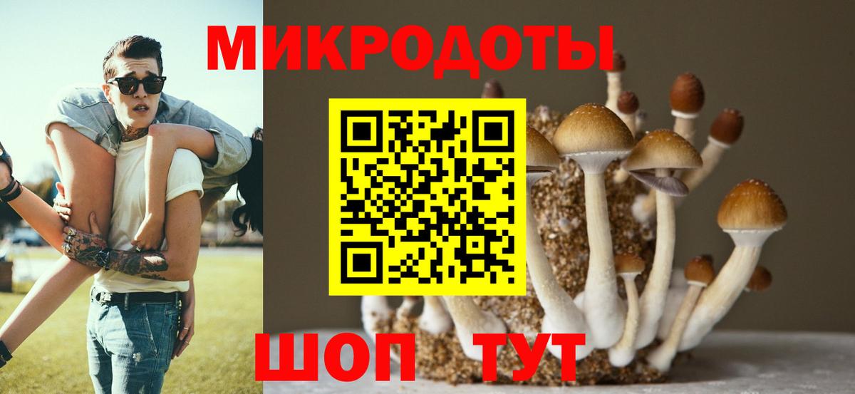 Псилоцибиновые грибы прущие грибы  Галлюциногенные грибы GOLDEN TEACHER  Соликамск  Вход с VPN 